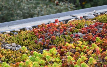 the cost of Gutcher green roof installation
