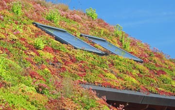 Gutcher living roof systems